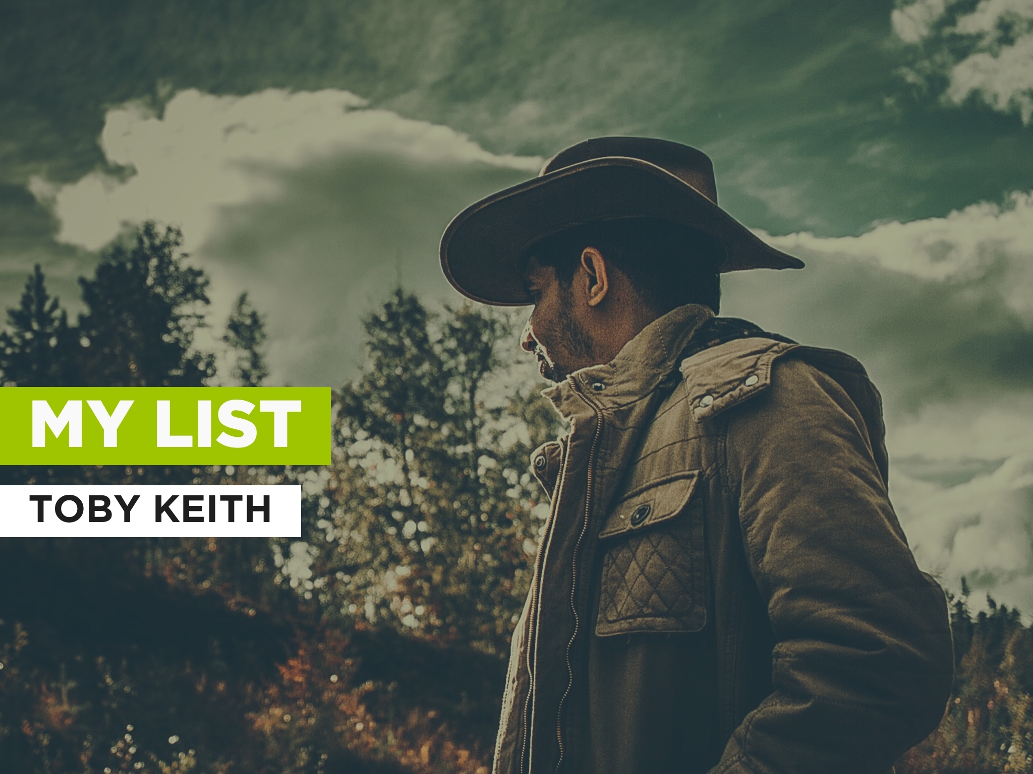 Prime Video: My List al estilo de Toby Keith